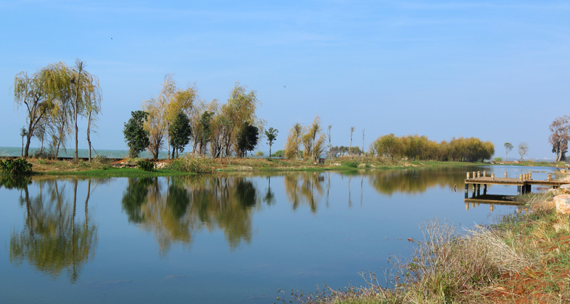 云南·南滇池国家湿地公园